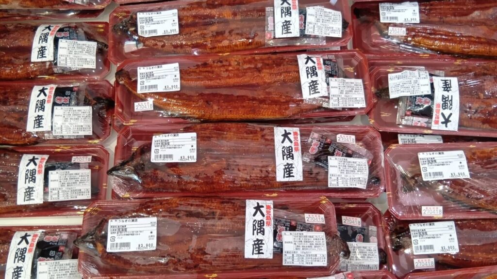 道の駅たのうらら「たのうら市場」夏、人気のウナギを販売。土用の丑の日に向け、鹿児島県大隅産の鰻が大きく、山盛りで売られている画像。