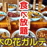 木の花ガルテン大山本店のオーガニックバイキング。新鮮な地元野菜を使った食べ放題料理が並ぶアイキャッチ画像用の写真