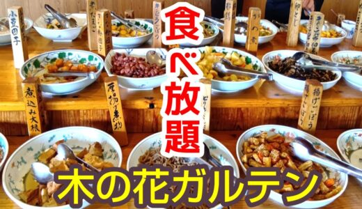 「木の花ガルテン大山本店」行列回避の裏技・料金・メニュー完全攻略!ヘルシーバイキングで罪悪感ゼロの満腹体験