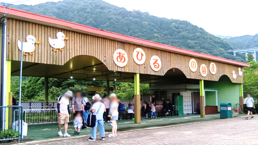 あひるの競争がある子供に人気のアトラクション?です。どのあひるが1等になるか賭けをするのですが、当たると良いお菓子がもらえちゃいます。ハズレでも残念賞あり。
