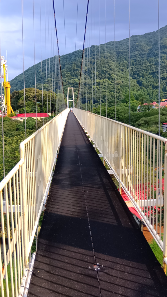 「大吊り橋」絶対にオススメ。絶景を楽しめるフォトスポット!