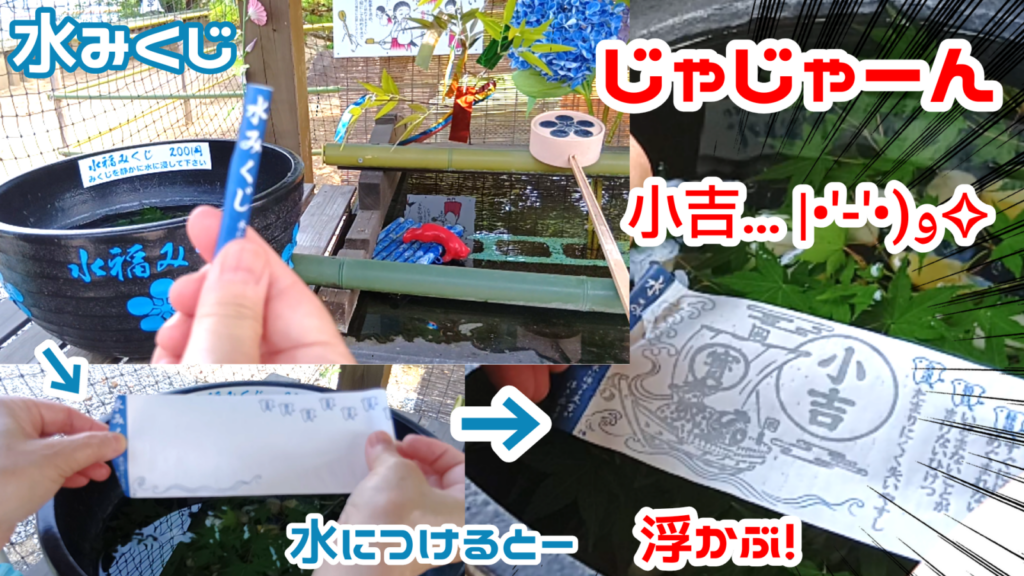 臼杵、赤猫神社「福良天満宮」の面白いおみくじ。水につけて占う「水みくじ」小吉だったよ!の写真