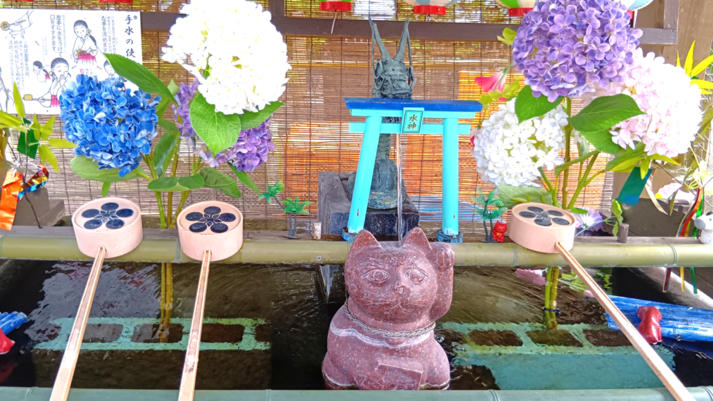 赤猫神社「福良天満宮」手水。招き猫を真ん中に、夏らしい飾り付け。