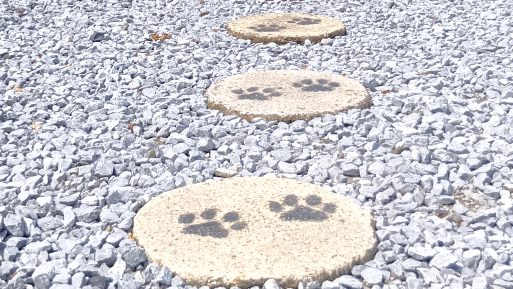 飛石には、かわいい猫の肉球