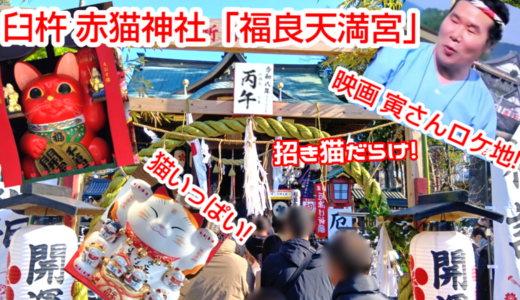 【猫好きの聖地・赤猫神社】臼杵・福良天満宮の魅力！幻の赤猫＆招き猫だらけ楽しいユニーク祈願体験記