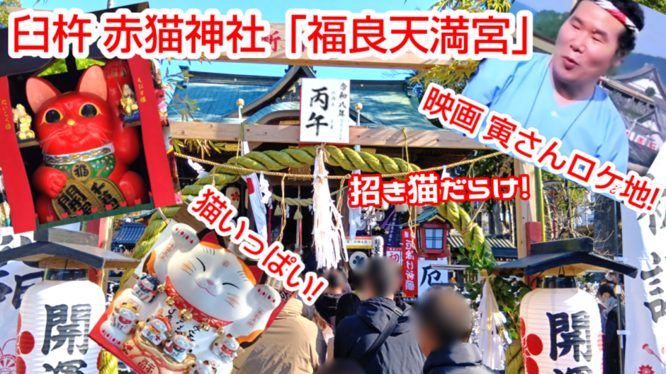 猫だらけ。臼杵、赤猫神社「福良天満宮」寅さんのロケ地にもなった神社を特集。